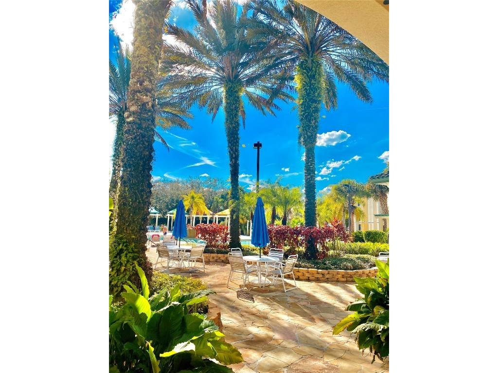 8917 Legacy Court #306 Kissimmee FL 34747 S5139102 image35