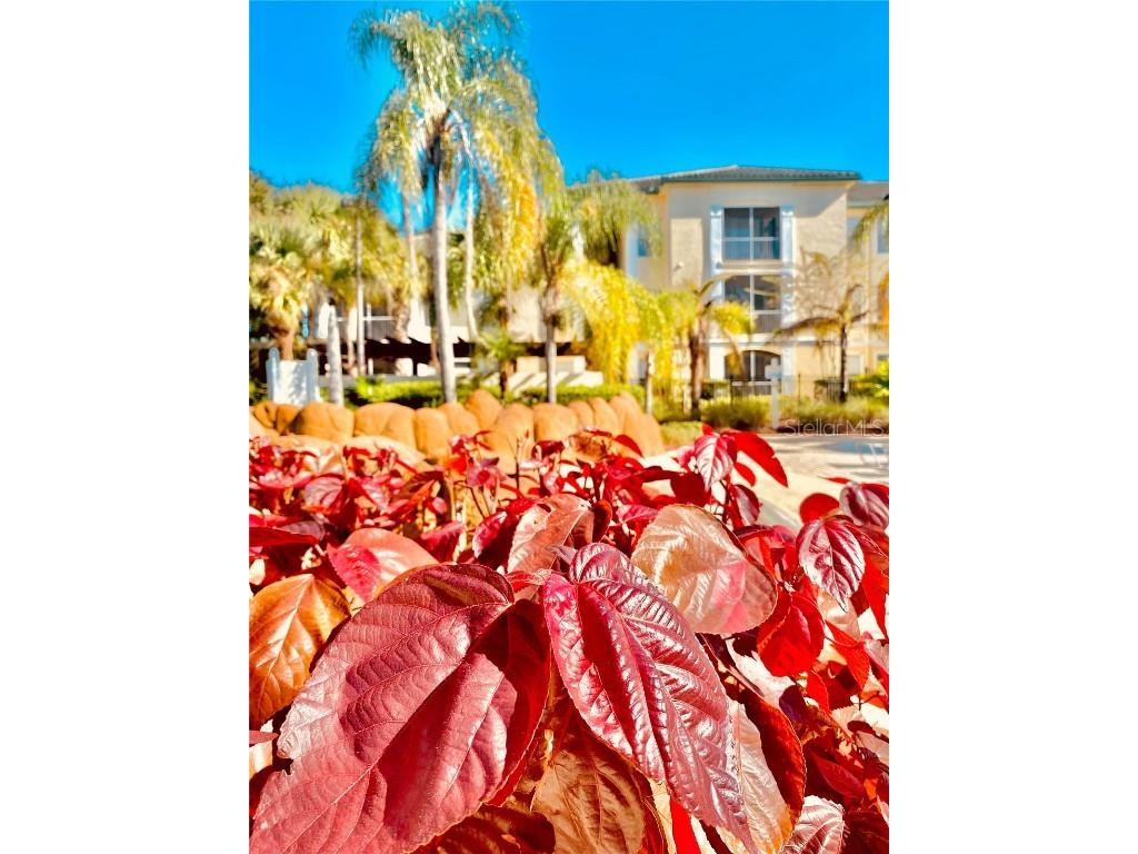 8917 Legacy Court #306 Kissimmee FL 34747 S5139102 image42