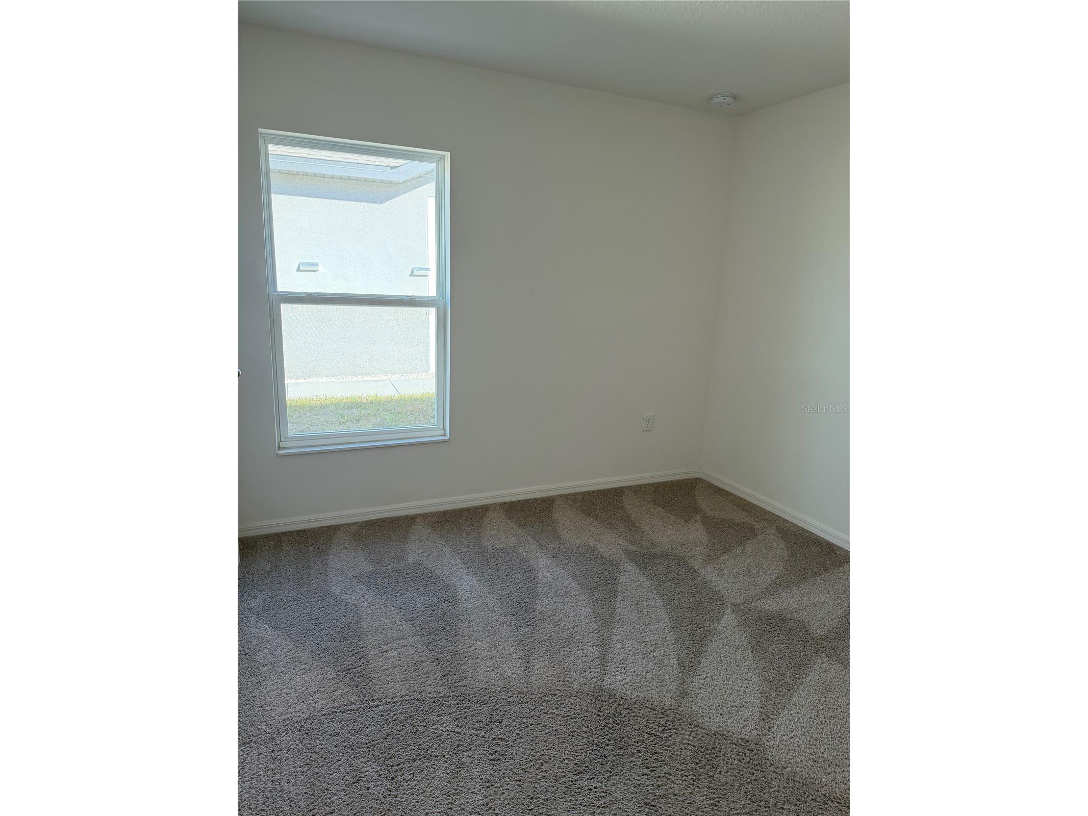 8917 Southern Charm Circle Brooksville FL 34613 TB8447089 image18