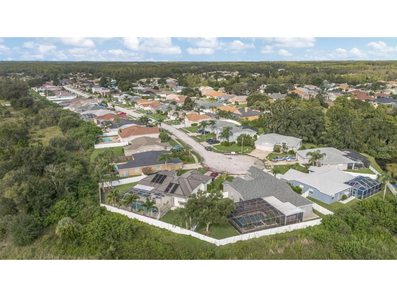 8918 Linebrook Drive Trinity FL 34655 W7878665 image50