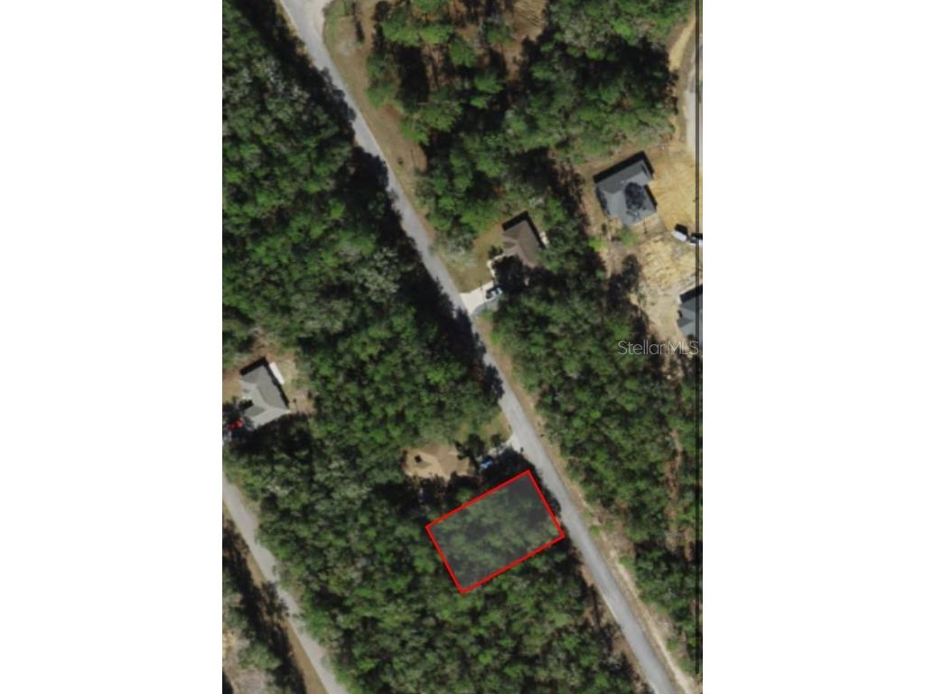 8918 N Spikes Way Dunnellon FL 34434 OM689242 image1