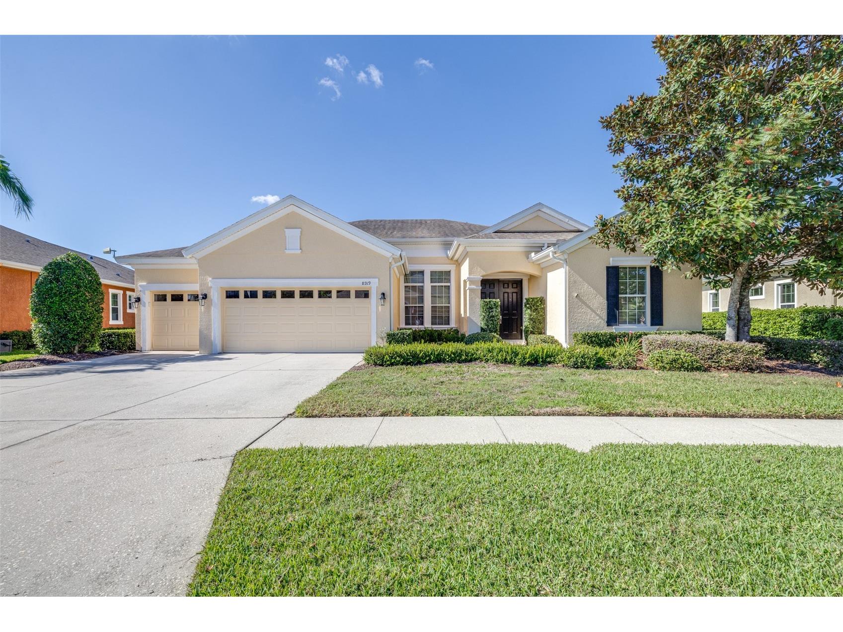 8919 Crystal Creek Court Land O Lakes FL 34638 TB8438634 image1