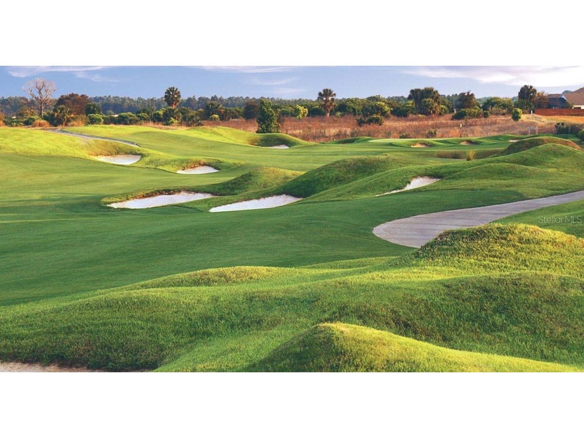 8919 Stinger Drive Davenport FL 33896 S5136582 image33