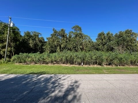 892 Hudson Valley Drive Poinciana FL 34759 O6068305 image1