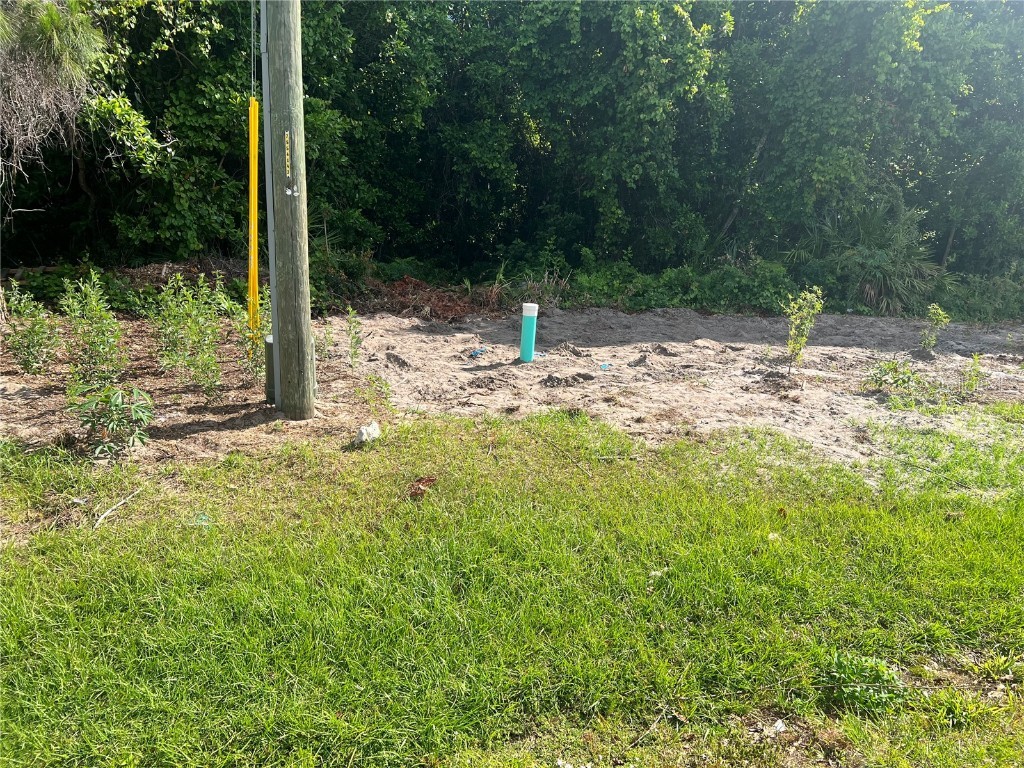 892 Hudson Valley Drive Poinciana FL 34759 O6167680 image1