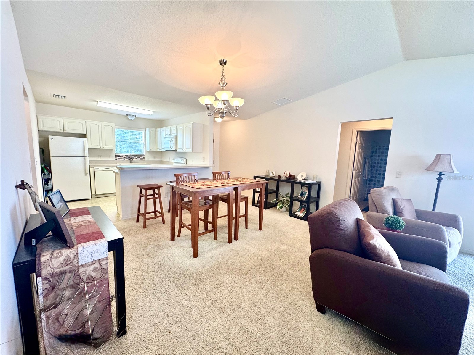 892 Nash Loop The Villages FL 32162 OM725973 image8