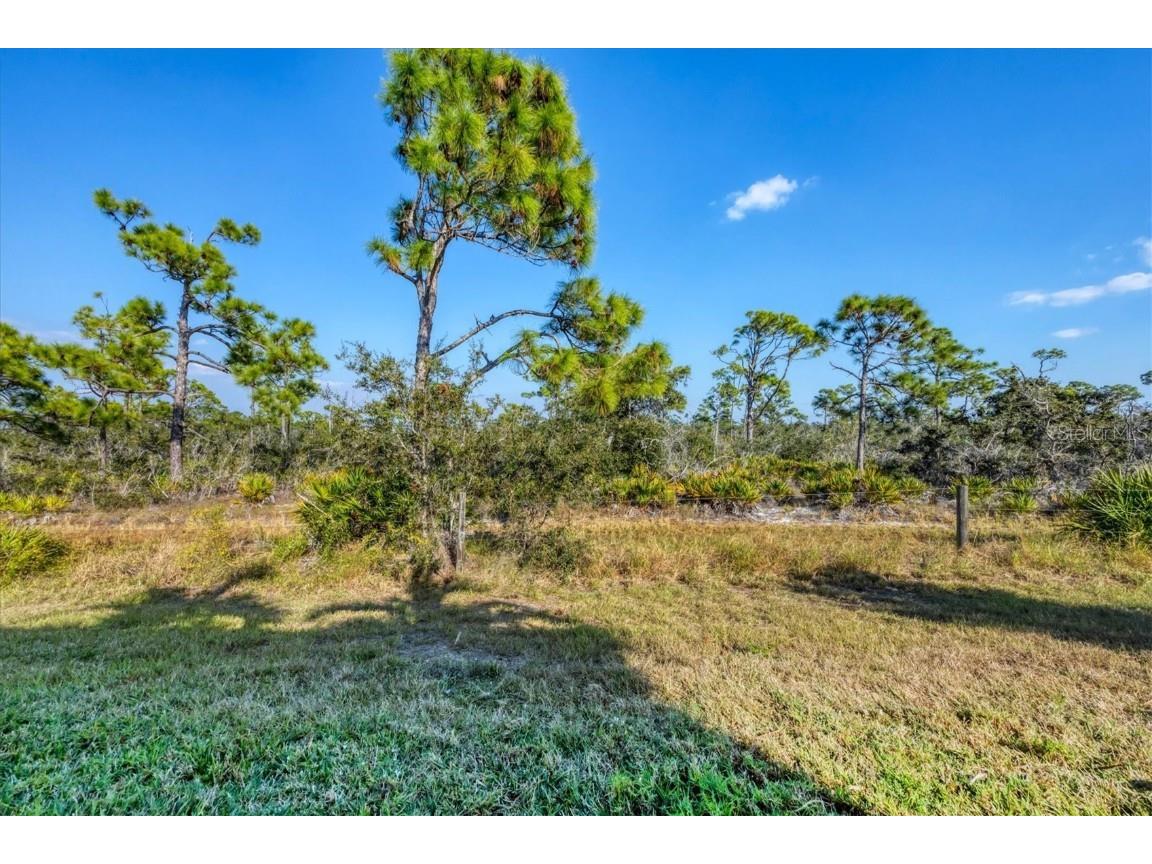 8920 Conch Avenue Placida FL 33946 D6144848 image44