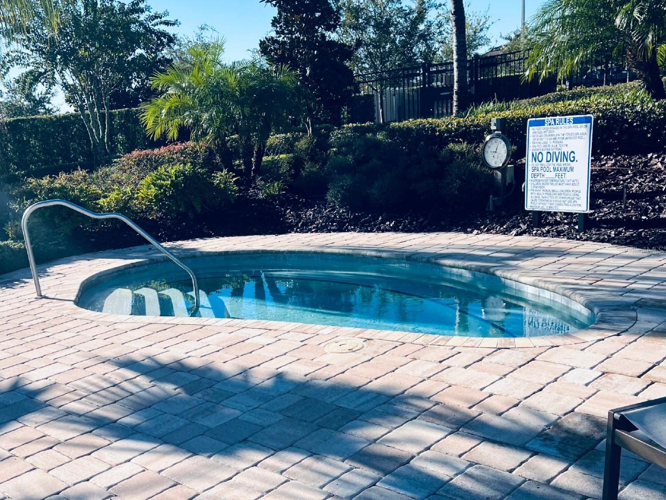 8920 Dove Valley Way Davenport FL 33896 O6375229 image72