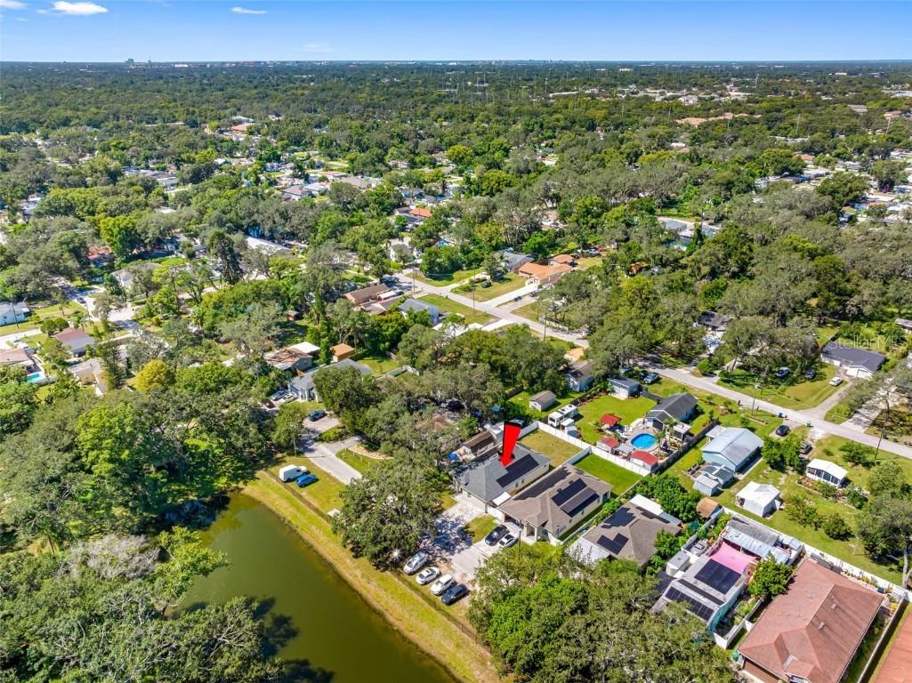 8920 N Newport Avenue Tampa FL 33604 O6345276 image59