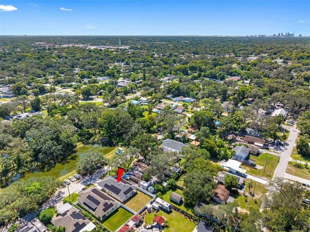 8920 N Newport Avenue Tampa FL 33604 O6345276 image62