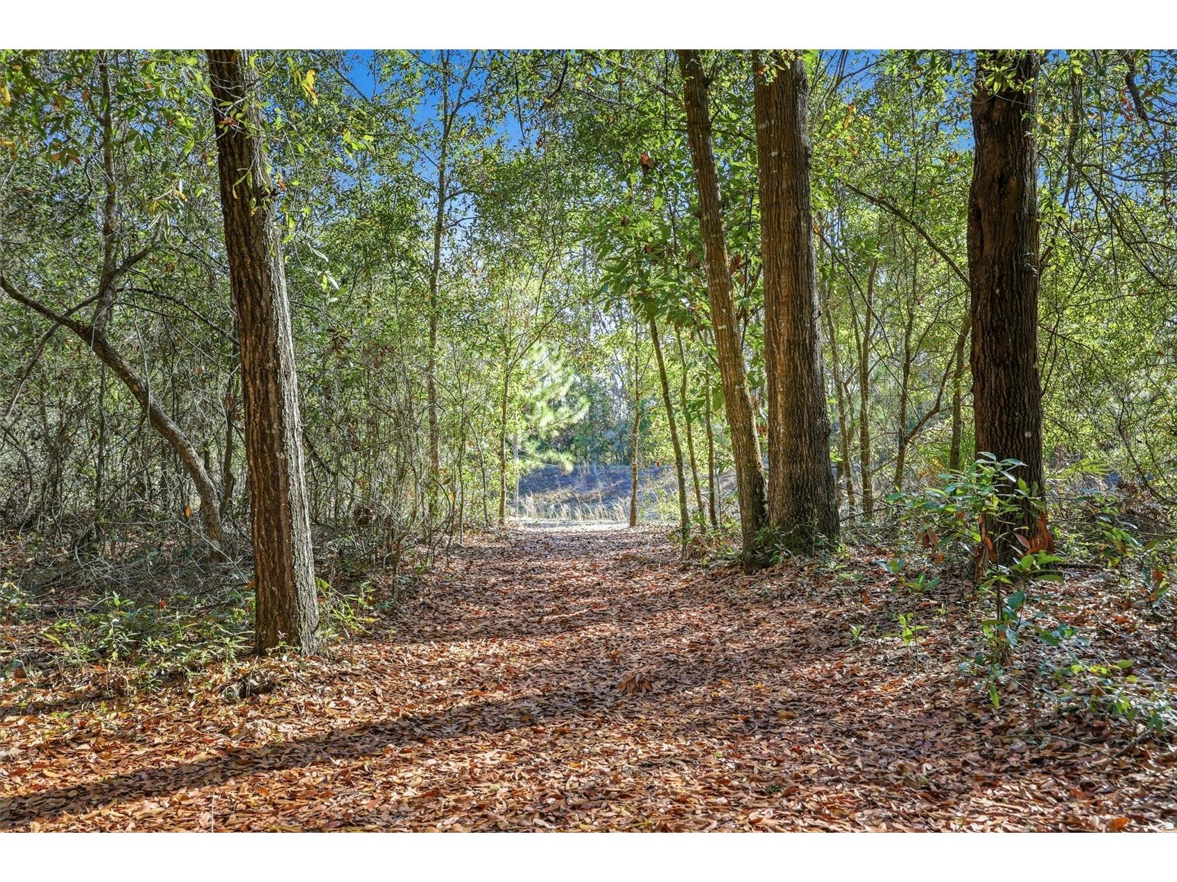 8920 NE 8th Place High Springs FL 32643 GC538451 image33