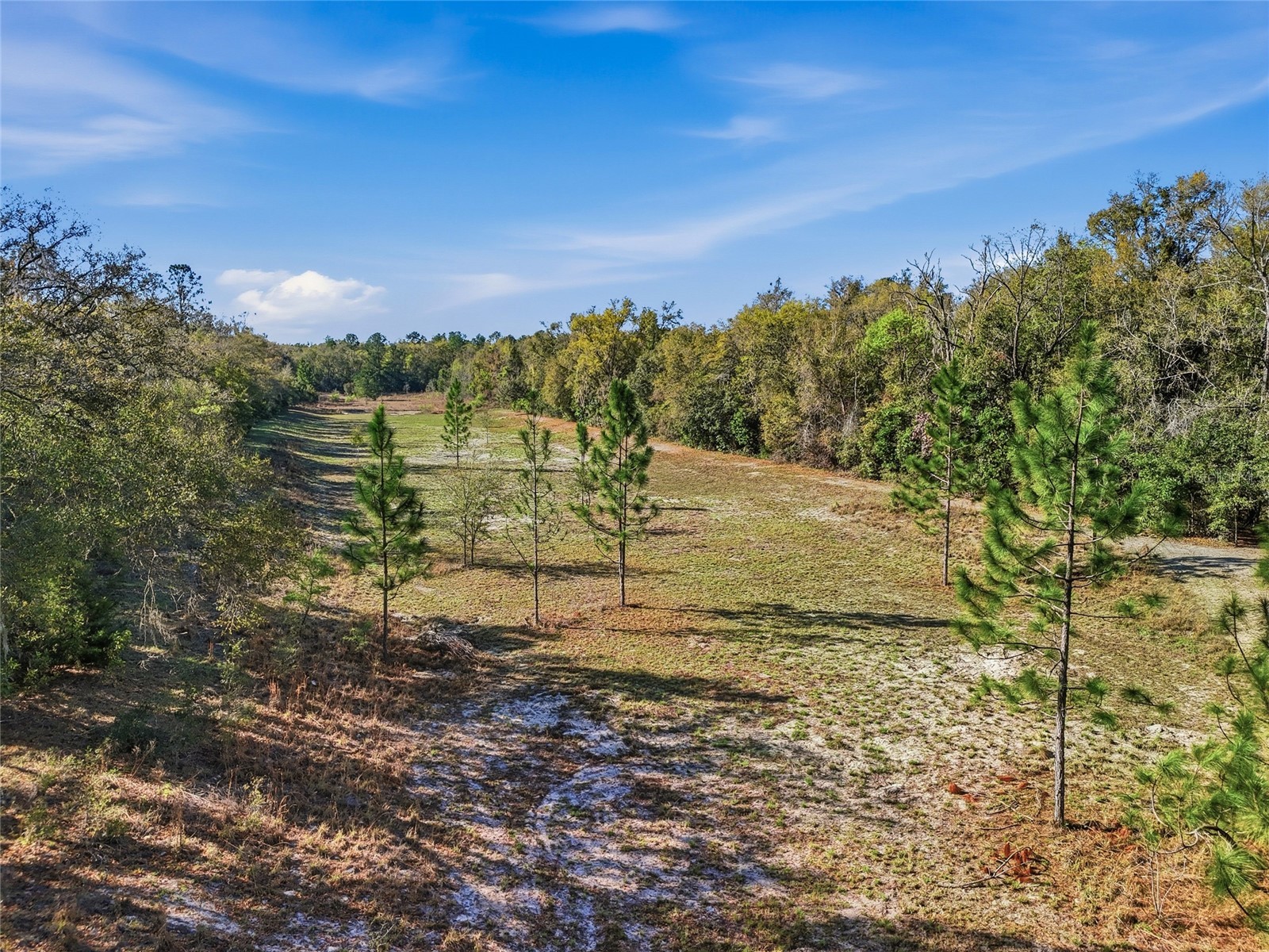 8920 NE 8th Place High Springs FL 32643 GC538451 image34
