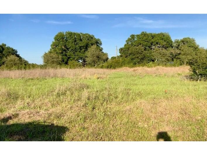 8920 Valerie Court Zephyrhills FL 33540 TB8426149 image1