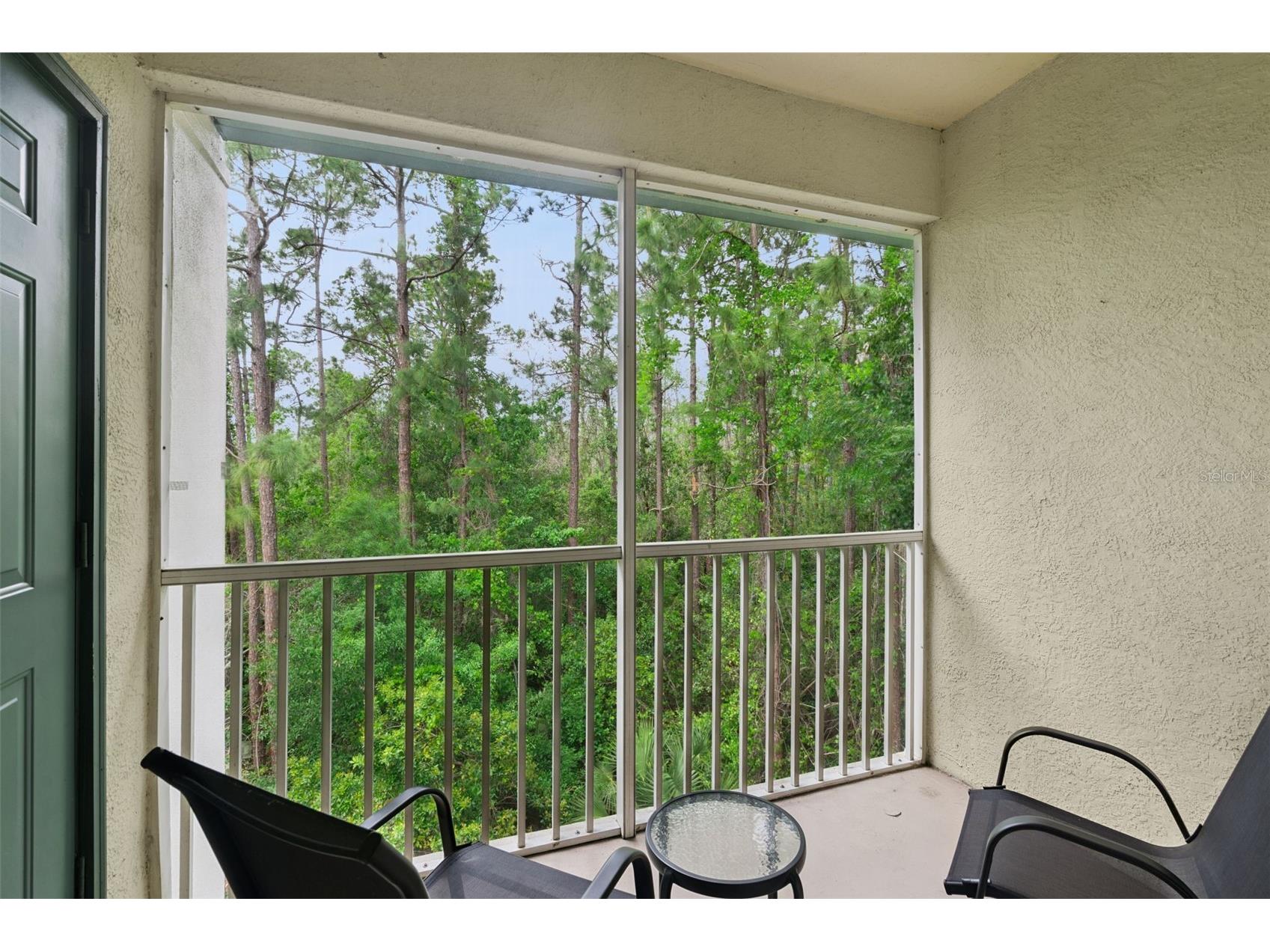 8921 Legacy Court #18-308 Kissimmee FL 34747 S5146879 image22