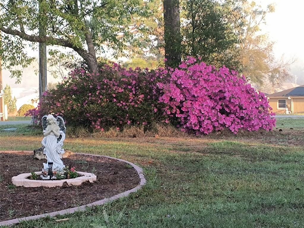 8921 S Thoroughbred Point Inverness FL 34452 TB8372184 image23