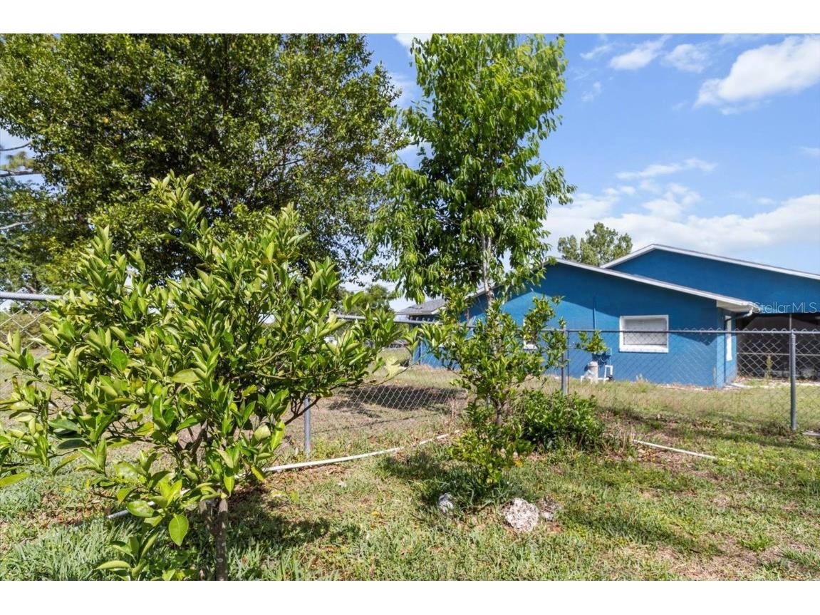 8921 S Thoroughbred Point Inverness FL 34452 TB8372184 image78