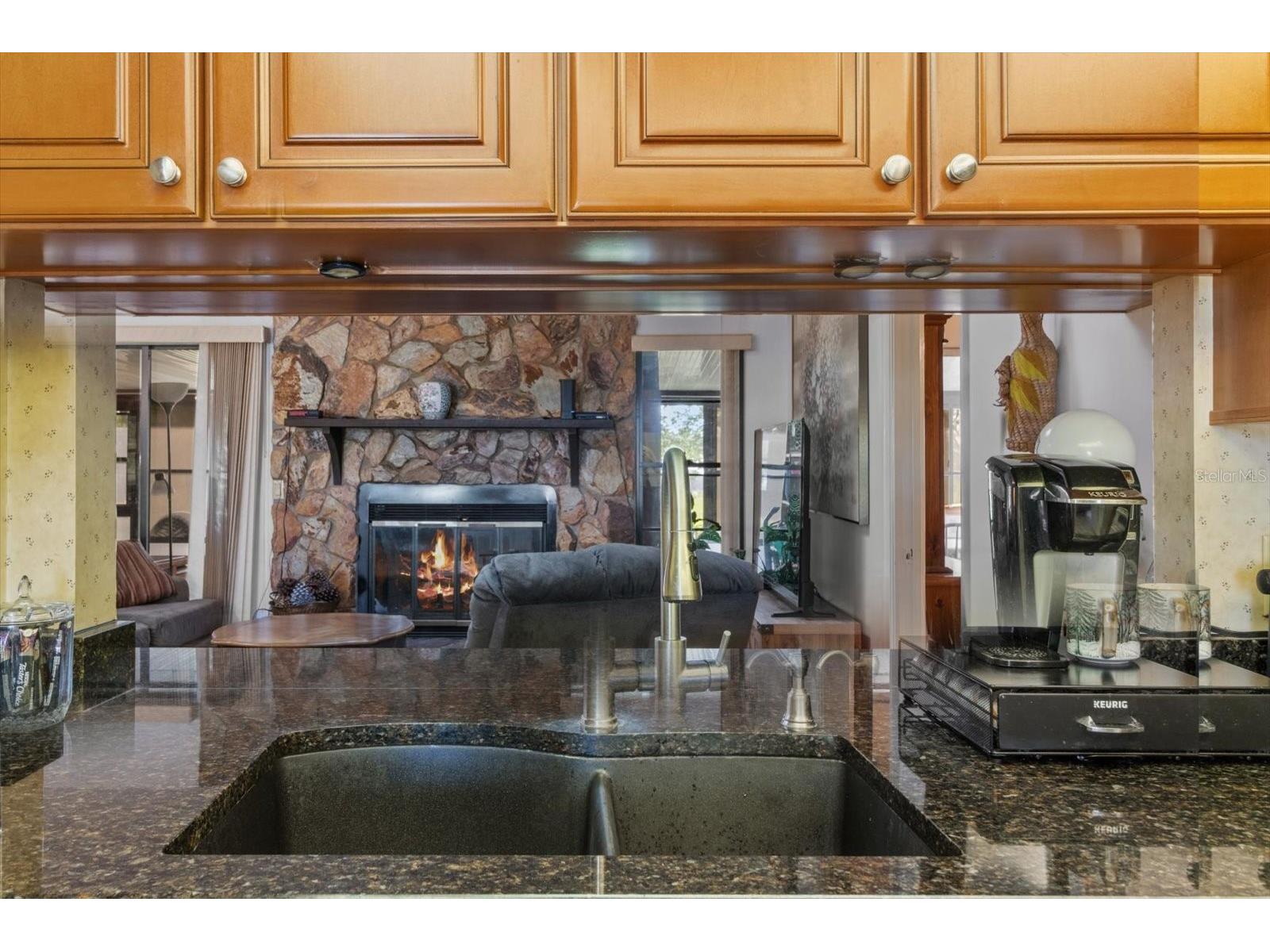 8921 S Thoroughbred Point Inverness FL 34452 TB8514491 image17