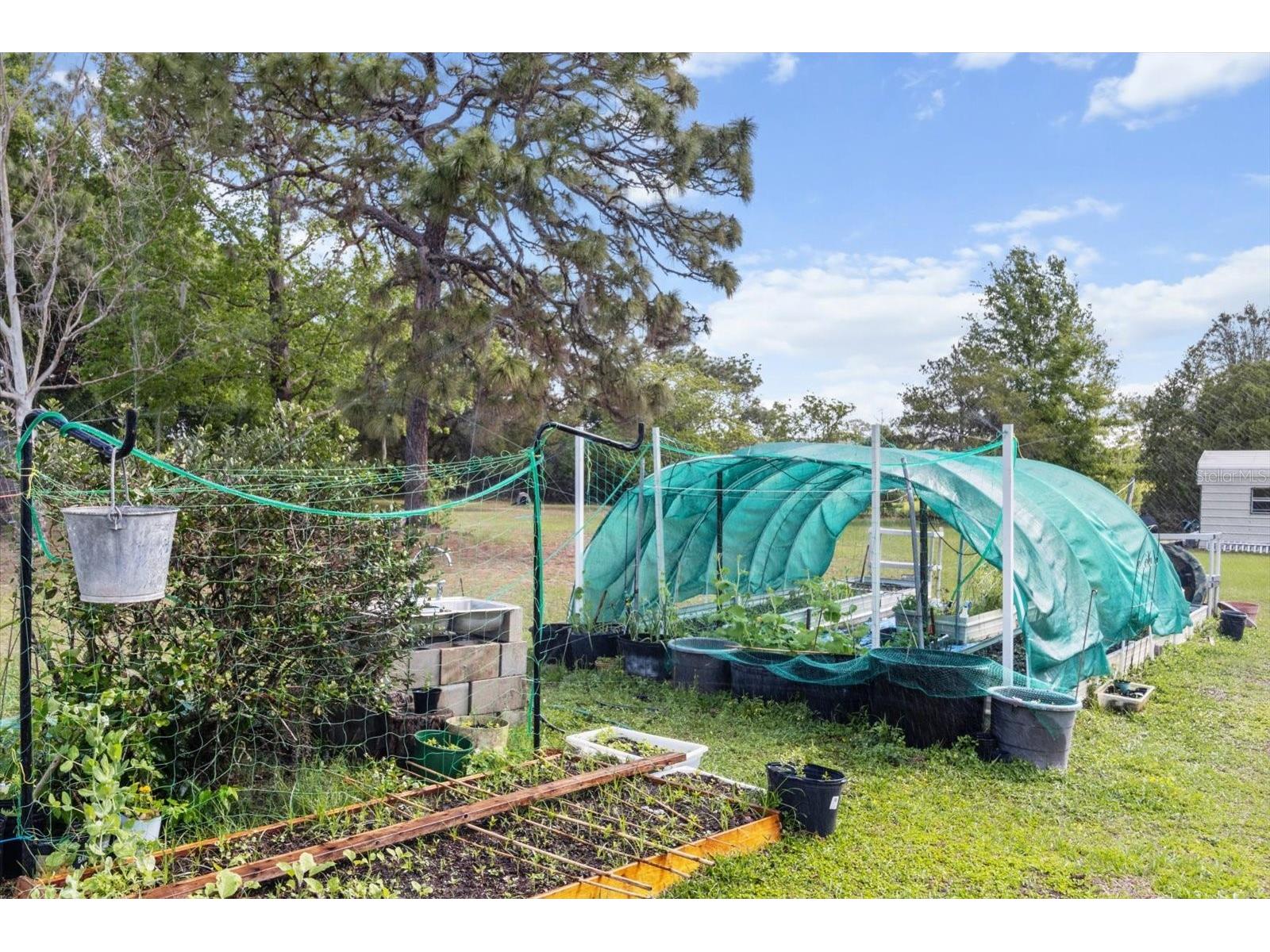 8921 S Thoroughbred Point Inverness FL 34452 TB8514491 image56