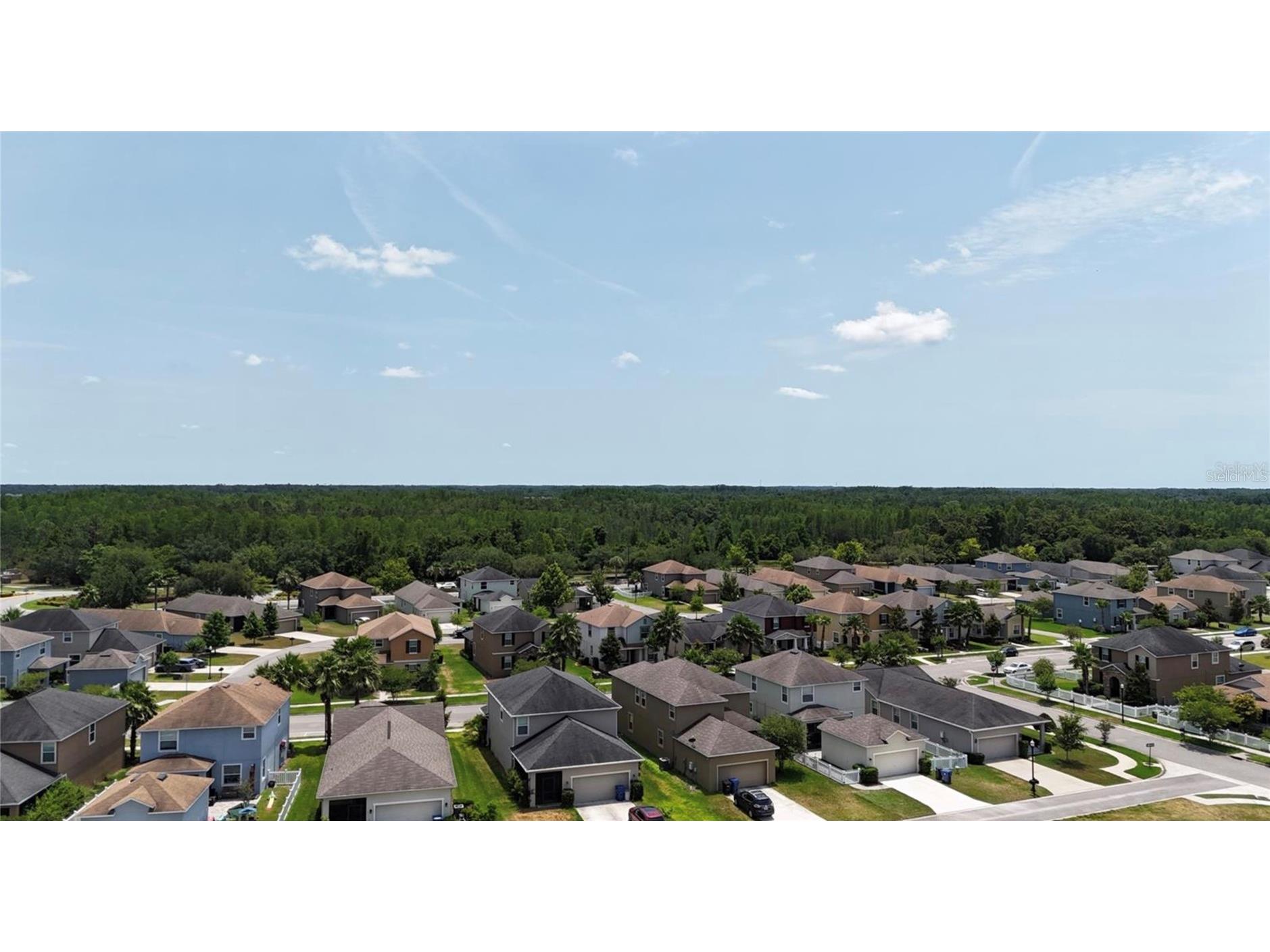 8922 Little Bluestem Drive Land O Lakes FL 34637 TB8468163 image10