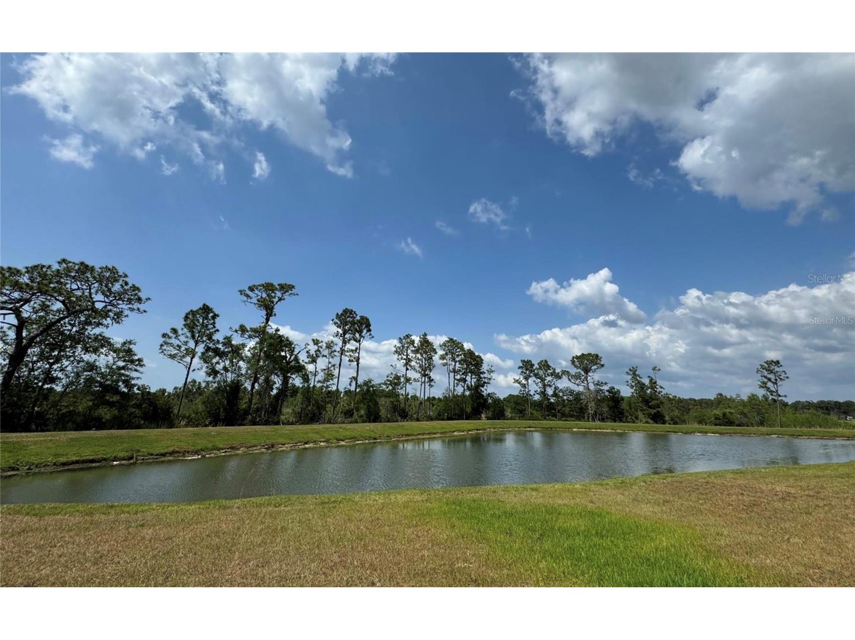 8922 Little Bluestem Drive Land O Lakes FL 34637 TB8468163 image2