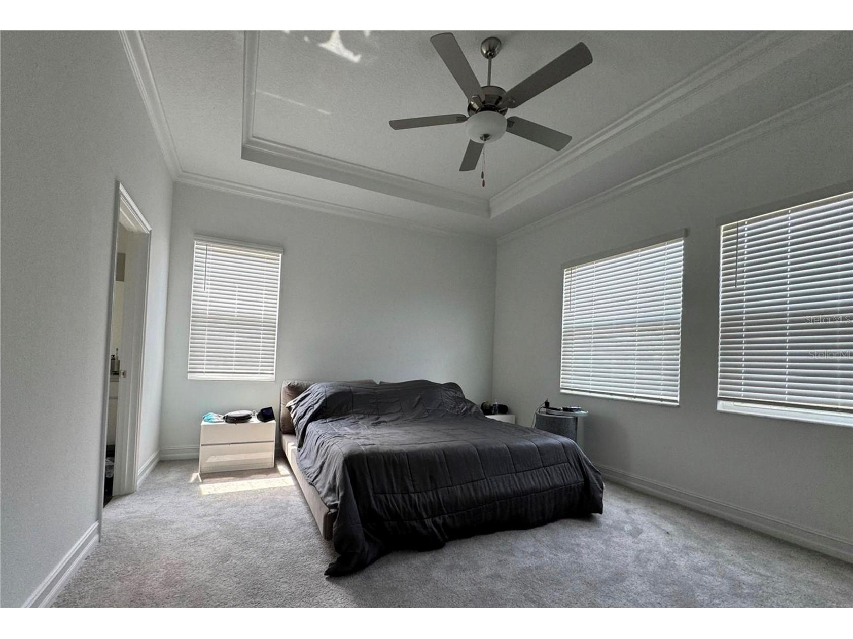 8922 Little Bluestem Drive Land O Lakes FL 34637 TB8468163 image6