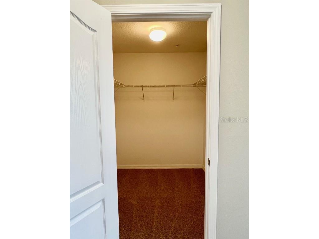 8923 Azalea Sands Lane Davenport FL 33896 O6287814 image19