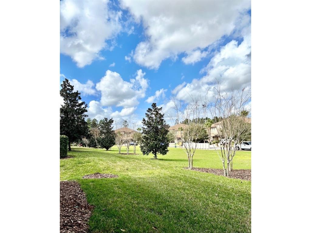 8923 Azalea Sands Lane Davenport FL 33896 O6287814 image37