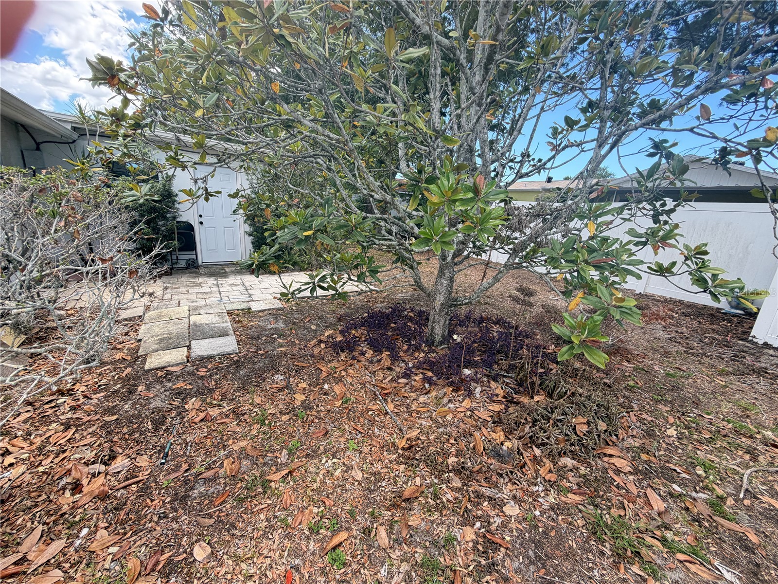 8923 Candlewick Lane Port Richey FL 34668 TB8503267 image20