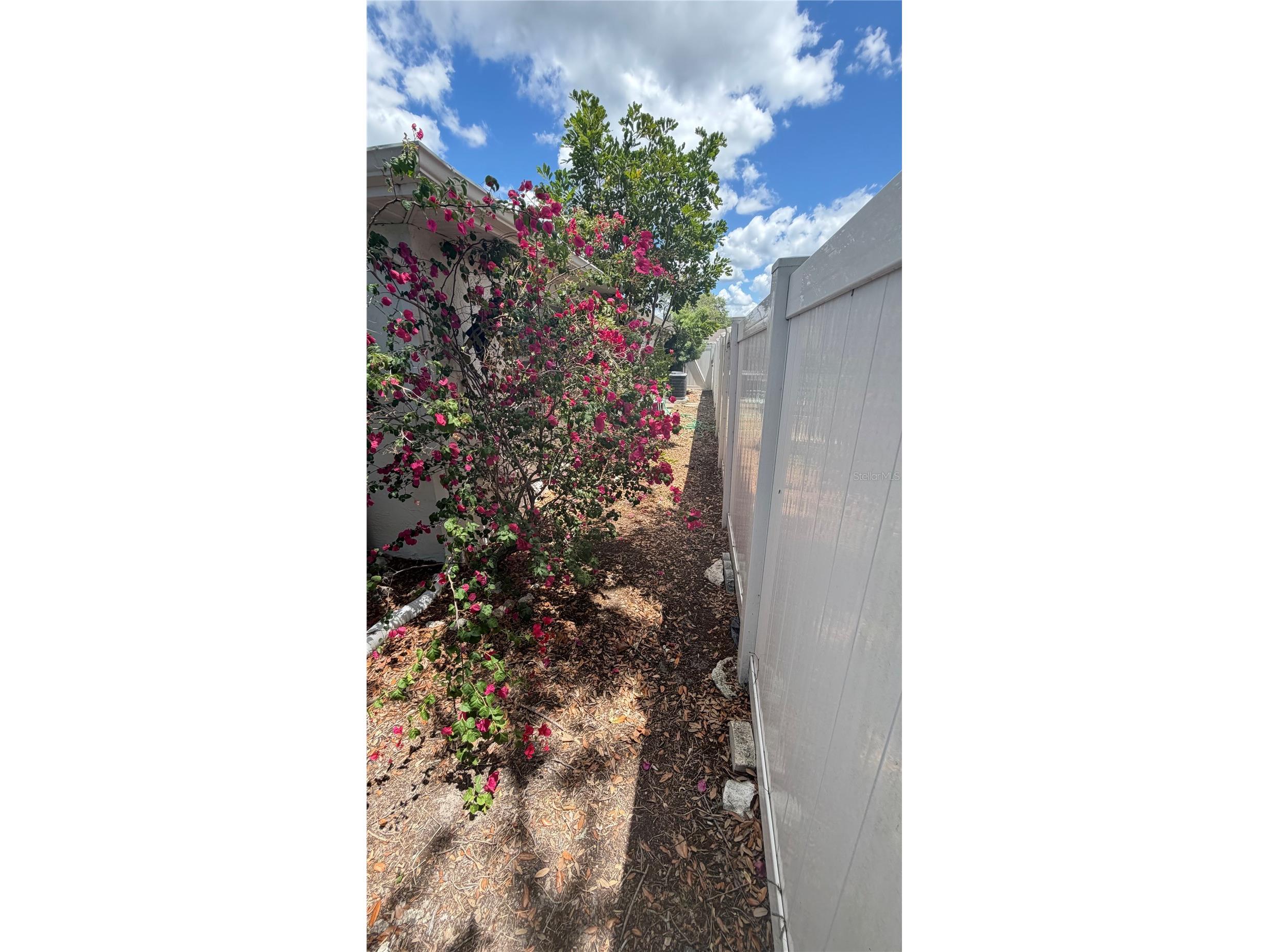8923 Candlewick Lane Port Richey FL 34668 TB8503267 image21