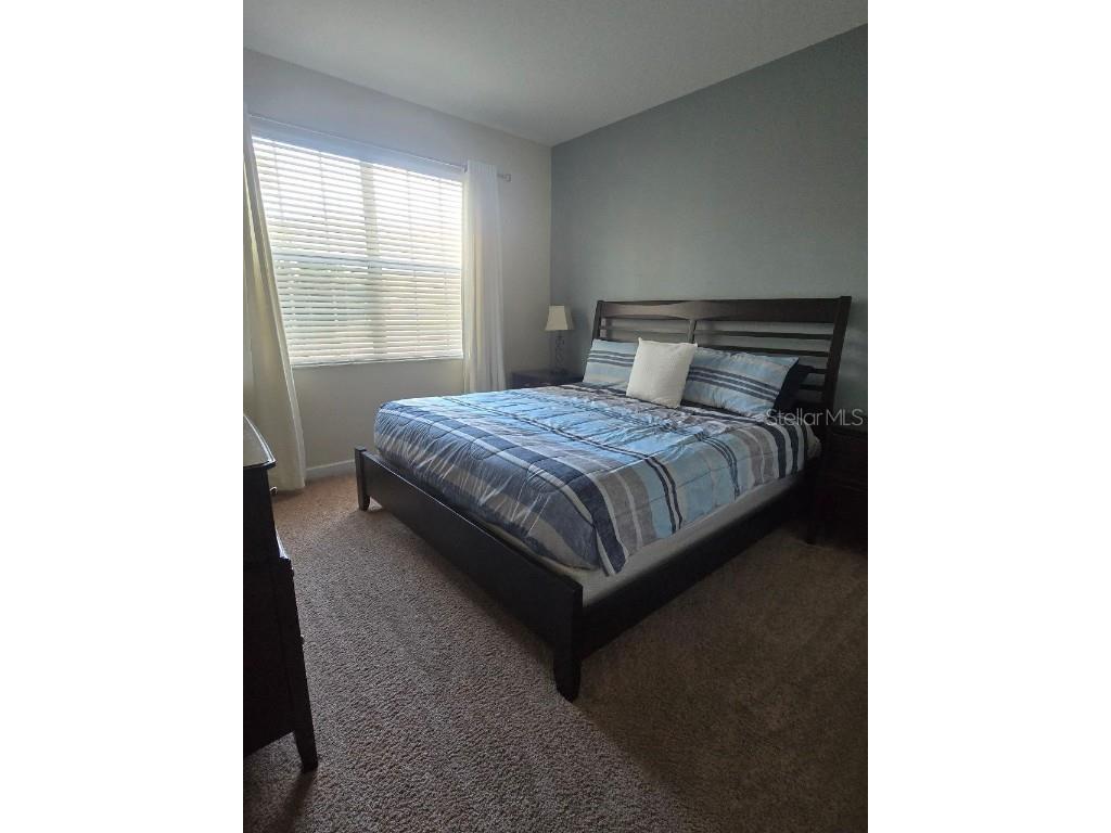 8923 Cuban Palm Road Kissimmee FL 34747 TB8400109 image23