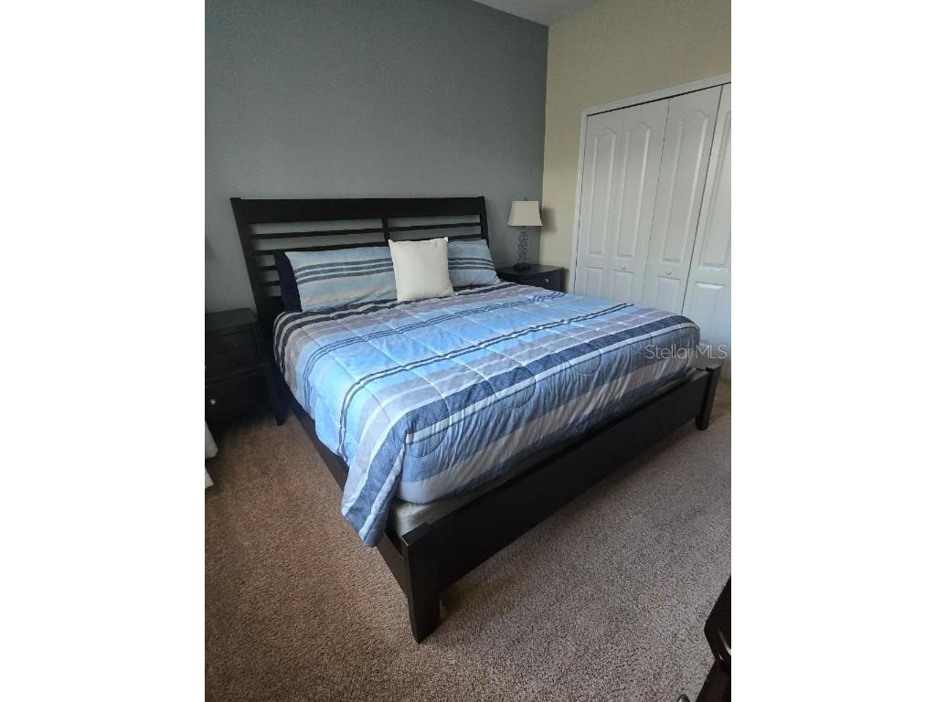 8923 Cuban Palm Road Kissimmee FL 34747 TB8400109 image24