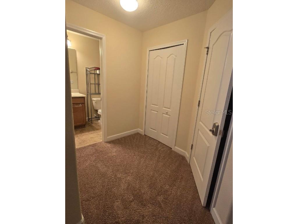 8923 Cuban Palm Road Kissimmee FL 34747 TB8400109 image27