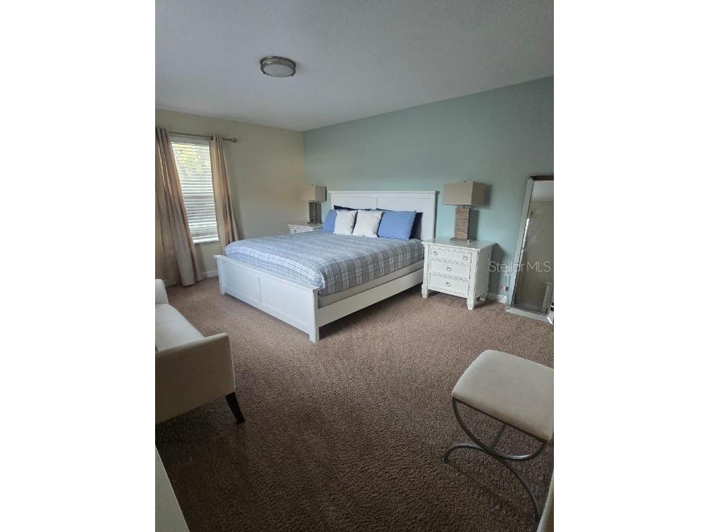 8923 Cuban Palm Road Kissimmee FL 34747 TB8400109 image40