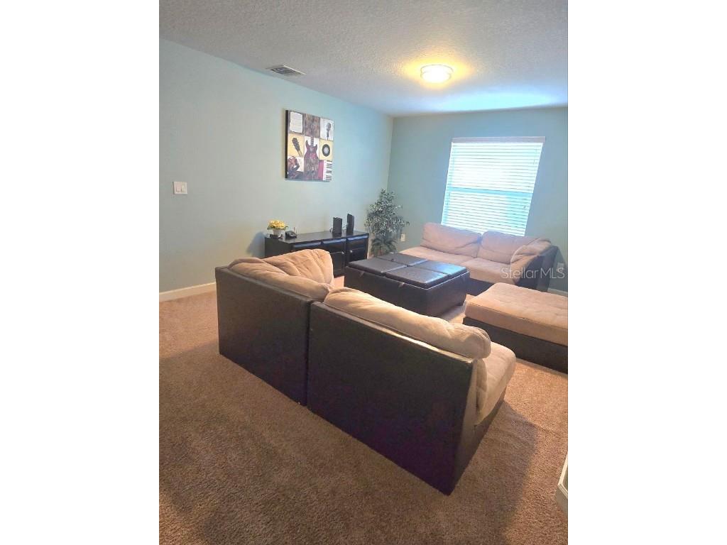 8923 Cuban Palm Road Kissimmee FL 34747 TB8400109 image43