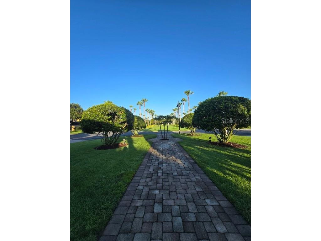 8923 Cuban Palm Road Kissimmee FL 34747 TB8400109 image52