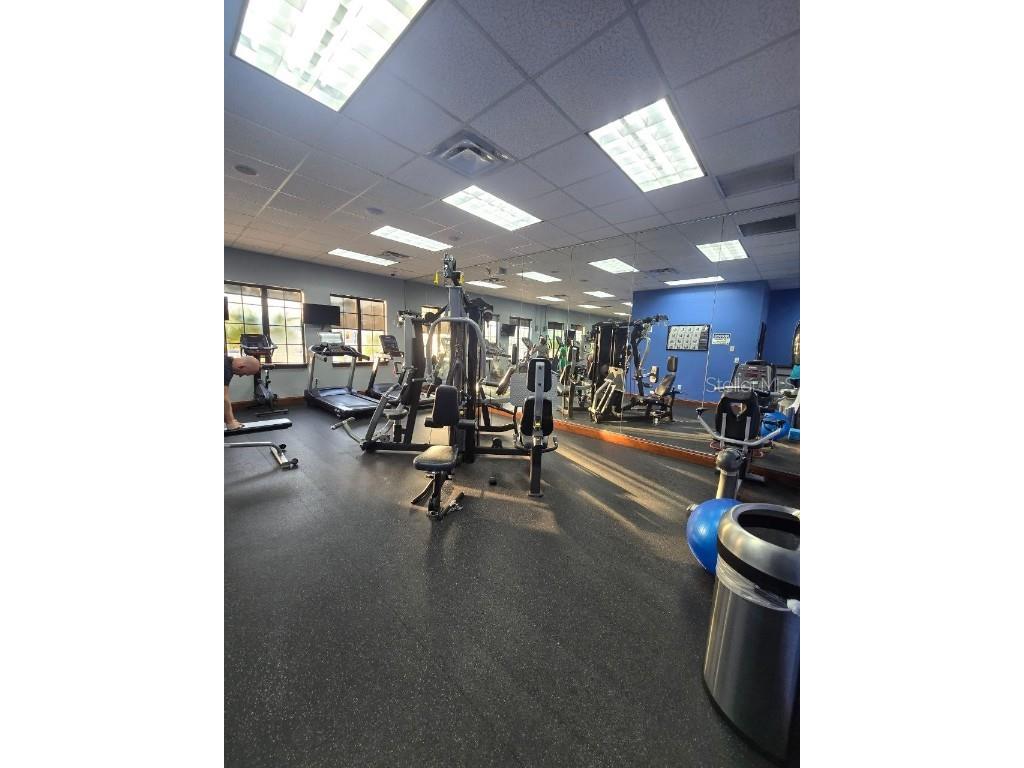 8923 Cuban Palm Road Kissimmee FL 34747 TB8400109 image63