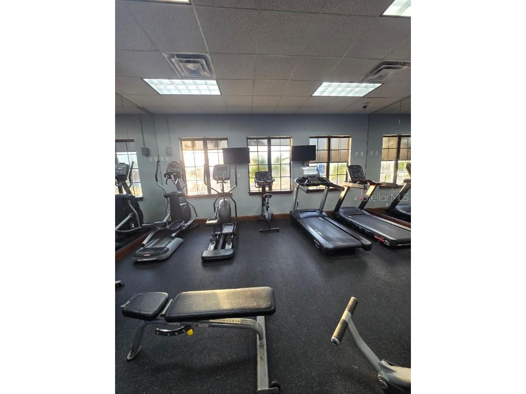 8923 Cuban Palm Road Kissimmee FL 34747 TB8400109 image65