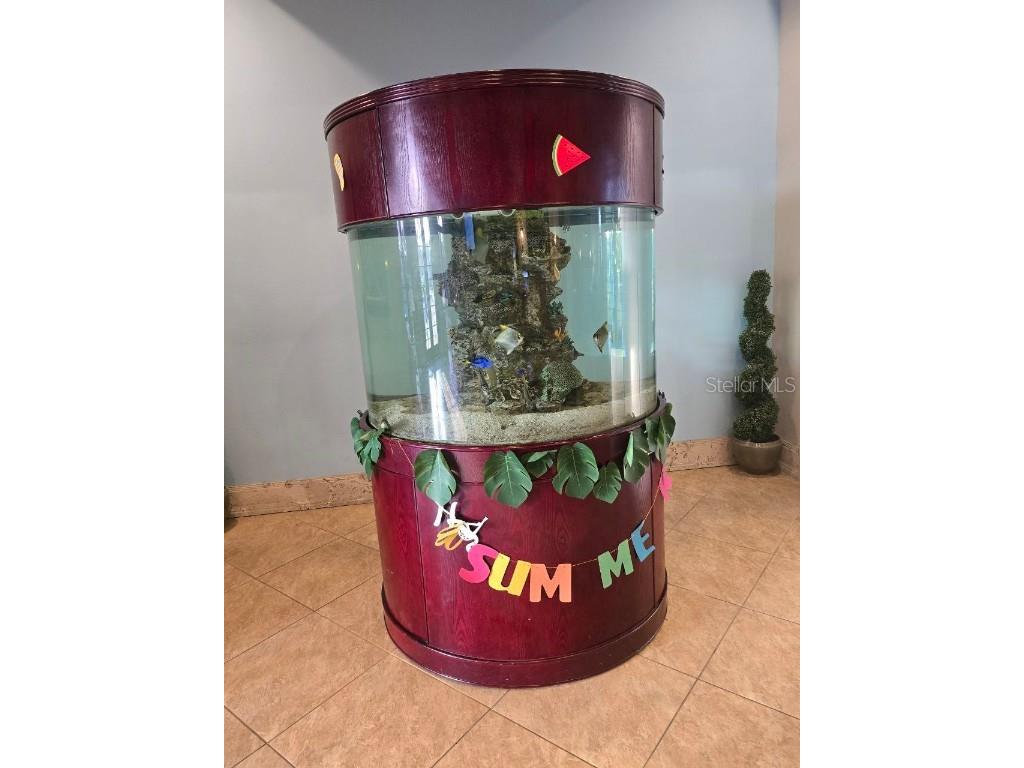 8923 Cuban Palm Road Kissimmee FL 34747 TB8400109 image68