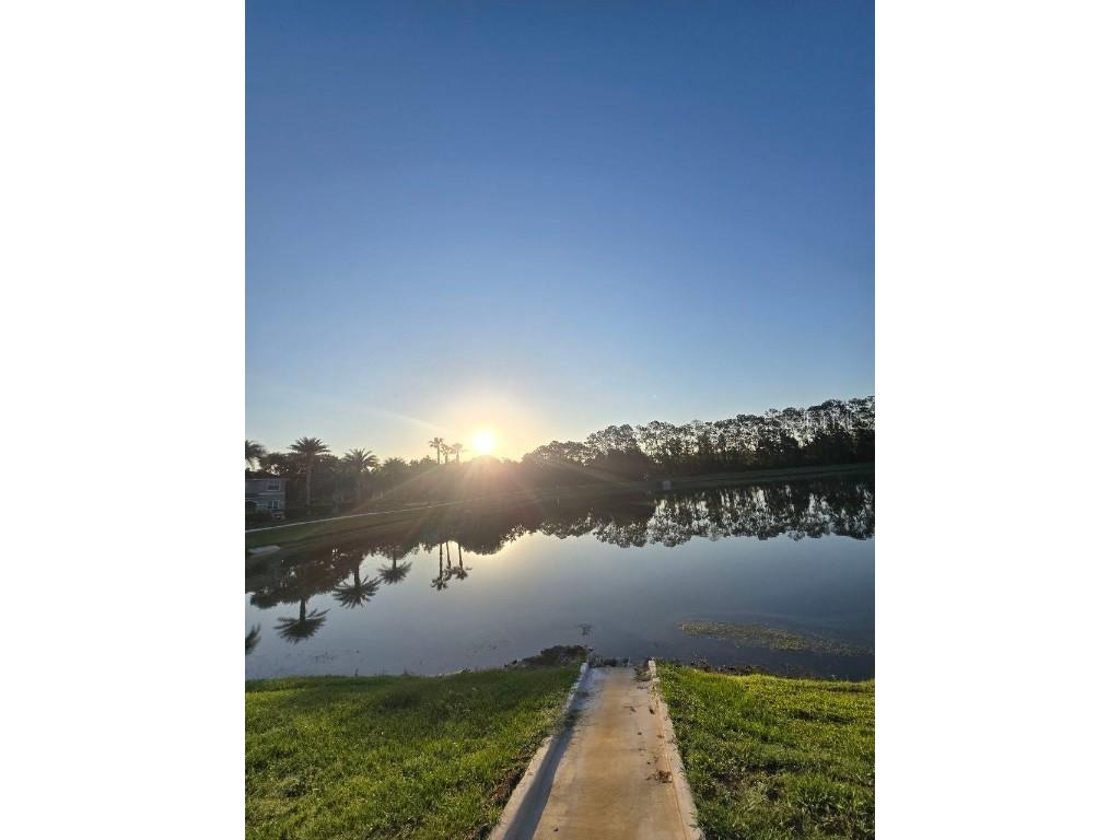 8923 Cuban Palm Road Kissimmee FL 34747 TB8400109 image86