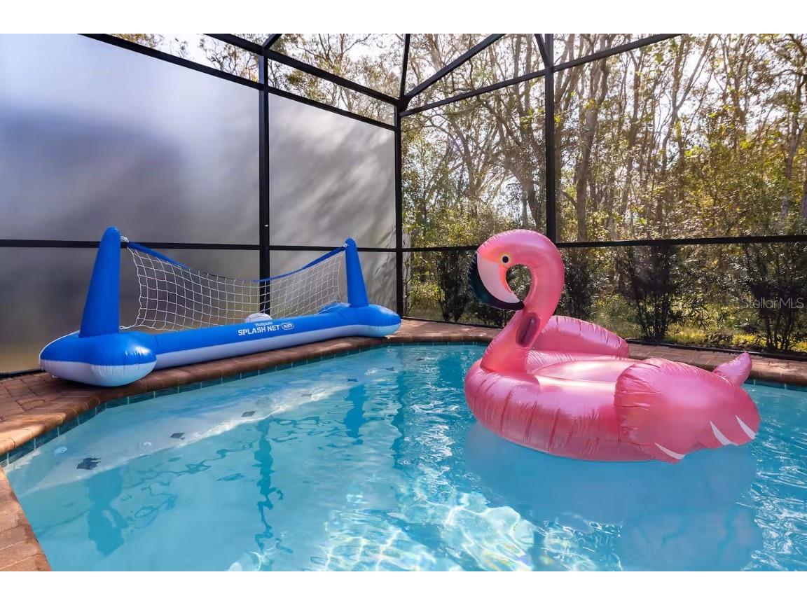 8924 Bengal Court Kissimmee FL 34747 O6304915 image33