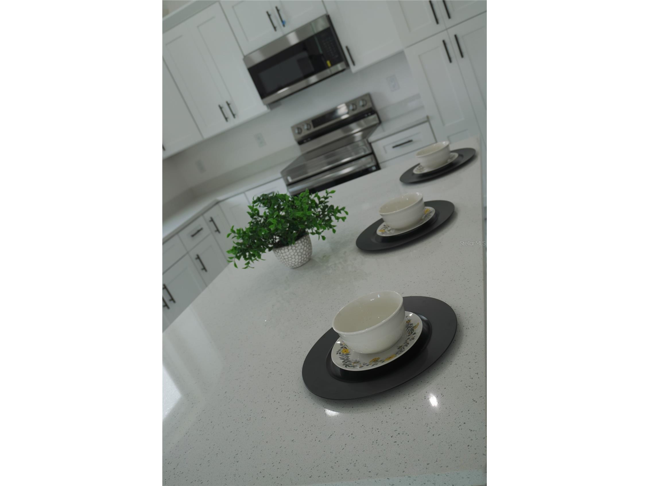 8924 N Orleans Avenue Tampa FL 33604 TB8518805 image31