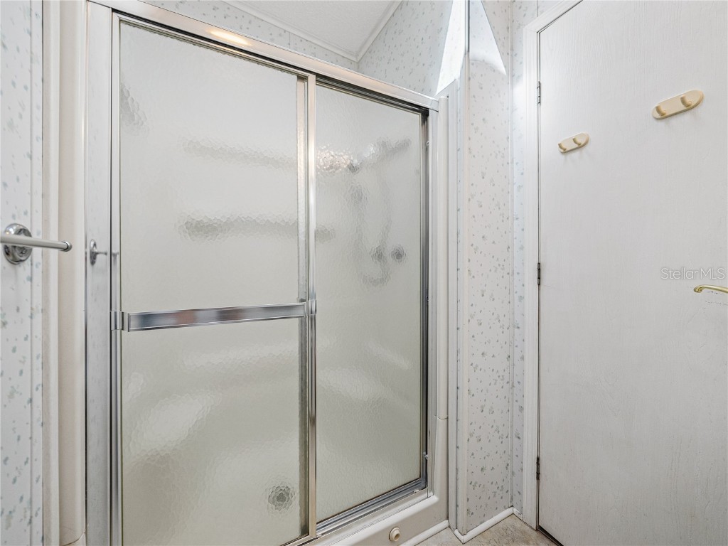 8925 Southshore Court Polk City FL 33868 P4933935 image28