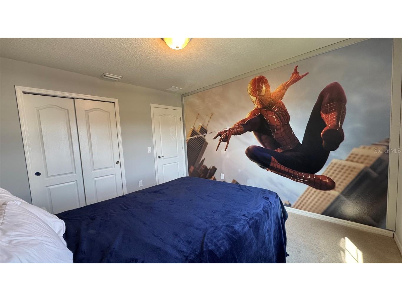 8926 Zurich Lane Kissimmee FL 34747 O6311534 image15