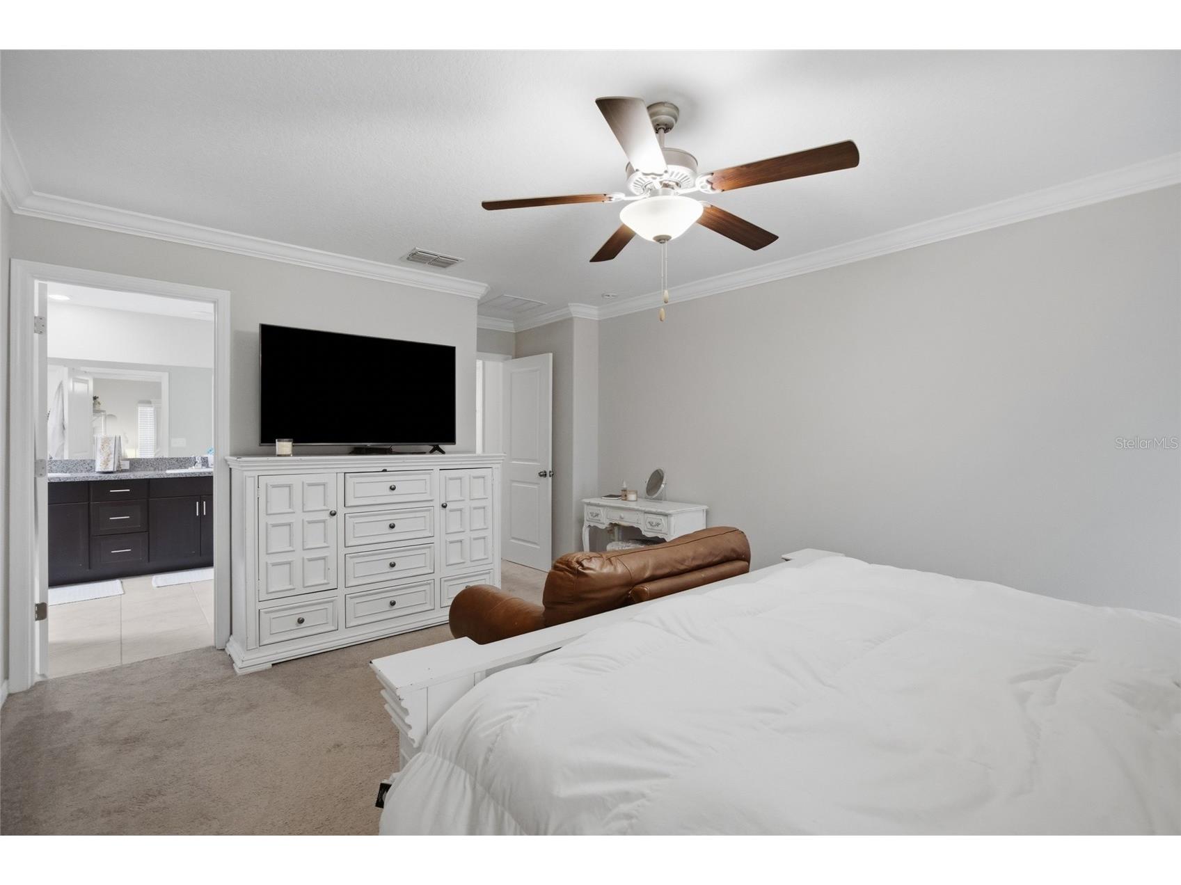 8928 Flourish Drive Land O Lakes FL 34637 TB8517348 image21
