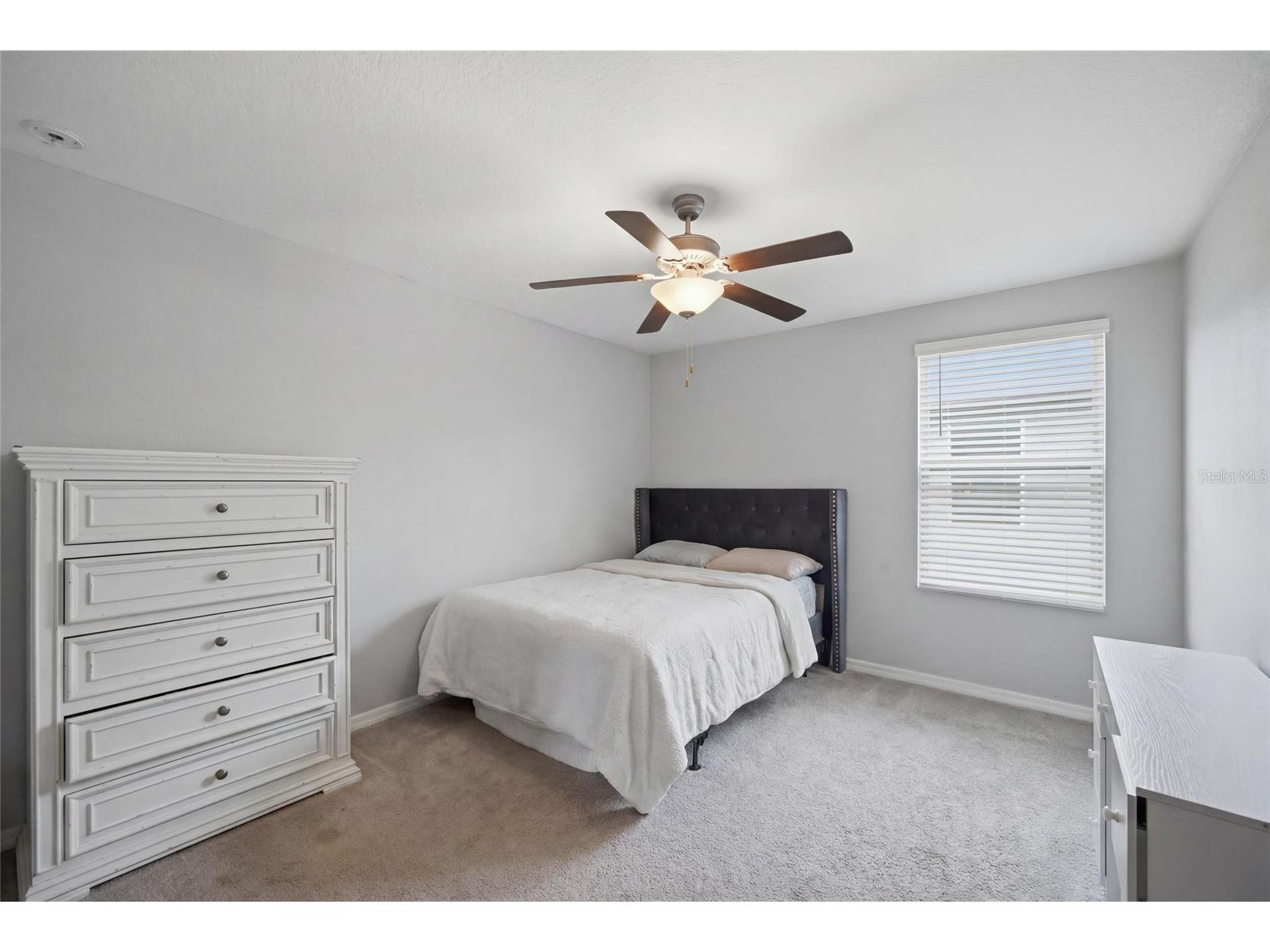 8928 Flourish Drive Land O Lakes FL 34637 TB8517348 image24