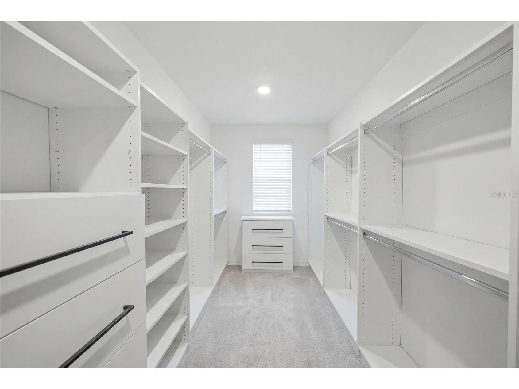 8928 Flourish Drive Land O Lakes FL 34637 TB8517348 image26