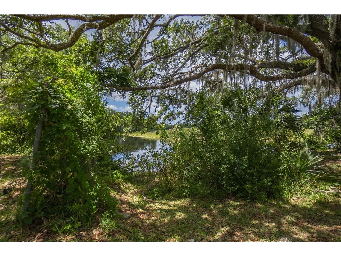 8929 E Gulf To Lake Highway Inverness FL 34450 OM698589 image40