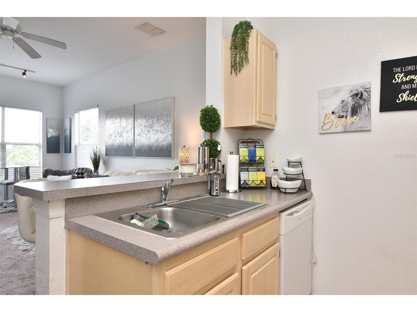 8929 Legacy Court #305 Kissimmee FL 34747 O6381302 image10