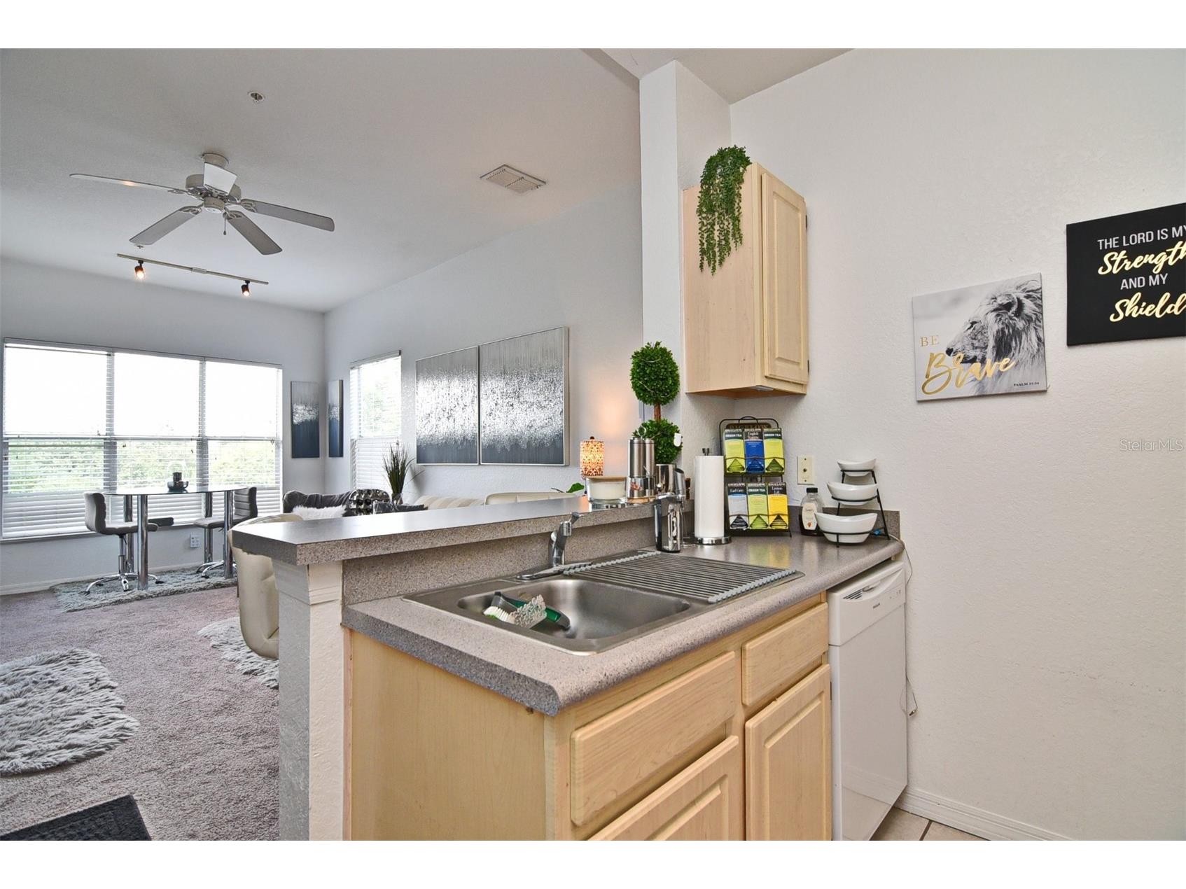 8929 Legacy Court #305 Kissimmee FL 34747 O6381302 image8