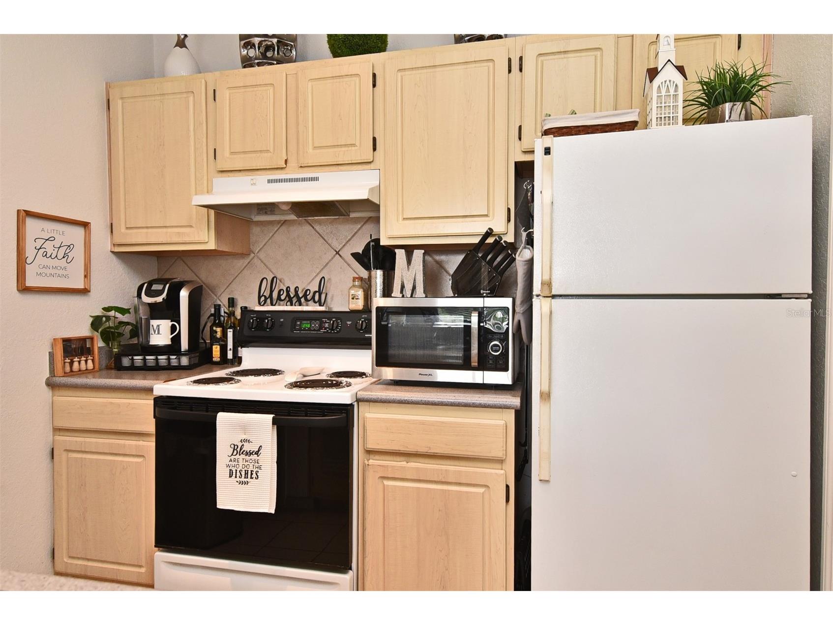 8929 Legacy Court #305 Kissimmee FL 34747 O6381302 image9